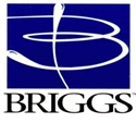 Picture for manufacturer Briggs